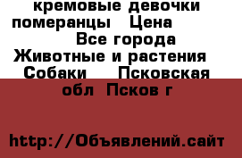 кремовые девочки померанцы › Цена ­ 30 000 - Все города Животные и растения » Собаки   . Псковская обл.,Псков г.